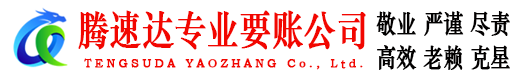 嘉鱼追债公司